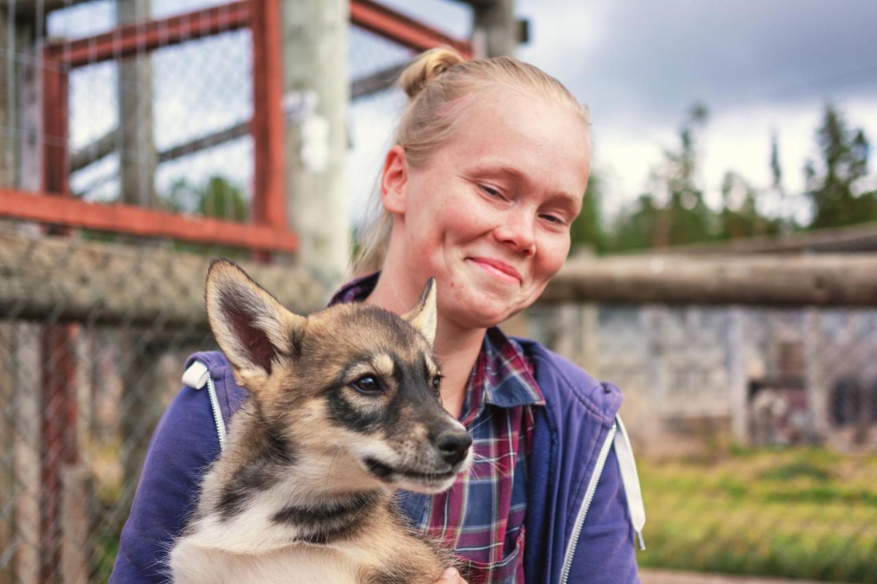 Harriniva Adventure Resort Cabins Muonio Buitenkant foto